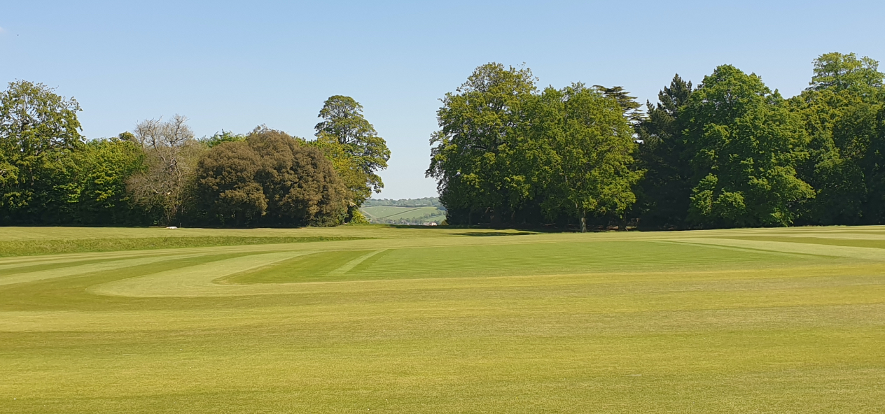 Arundel Cricket Ground pitch on a sunny day